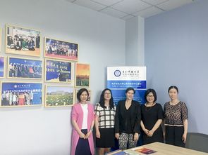 電子科技大學成電新聞網在技術咨詢與交流中的創新實踐
